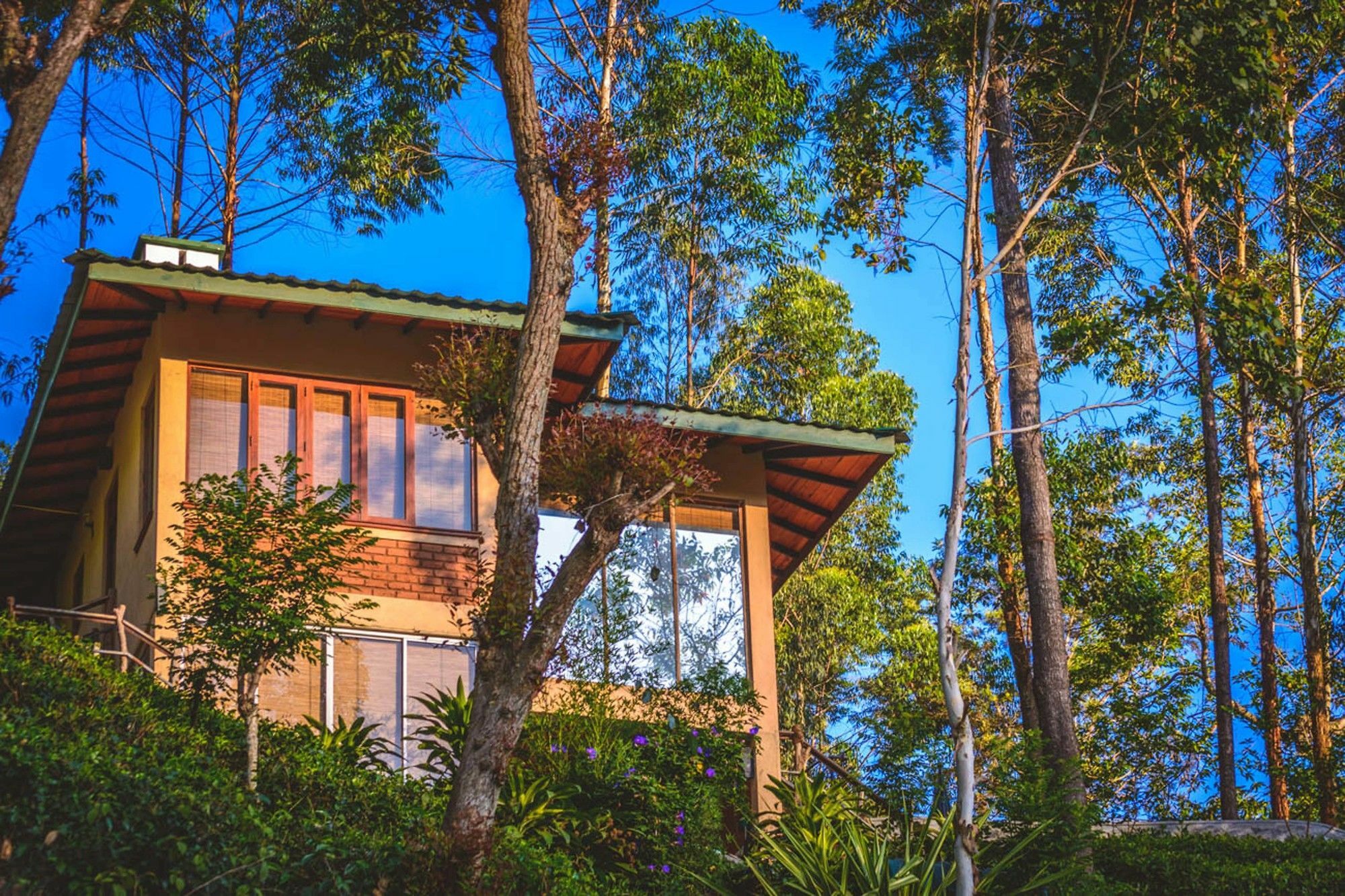 Tea Cottage Resort & Spa Nawalapitiya Exterior photo